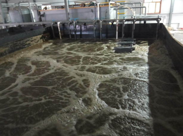 齊齊哈爾屠宰廠廢水處理工程案例